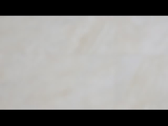 Één Koppeling die van de Maniernok de Reeks Sprag draagt van BB ondersteunt freewheelt Koppeling